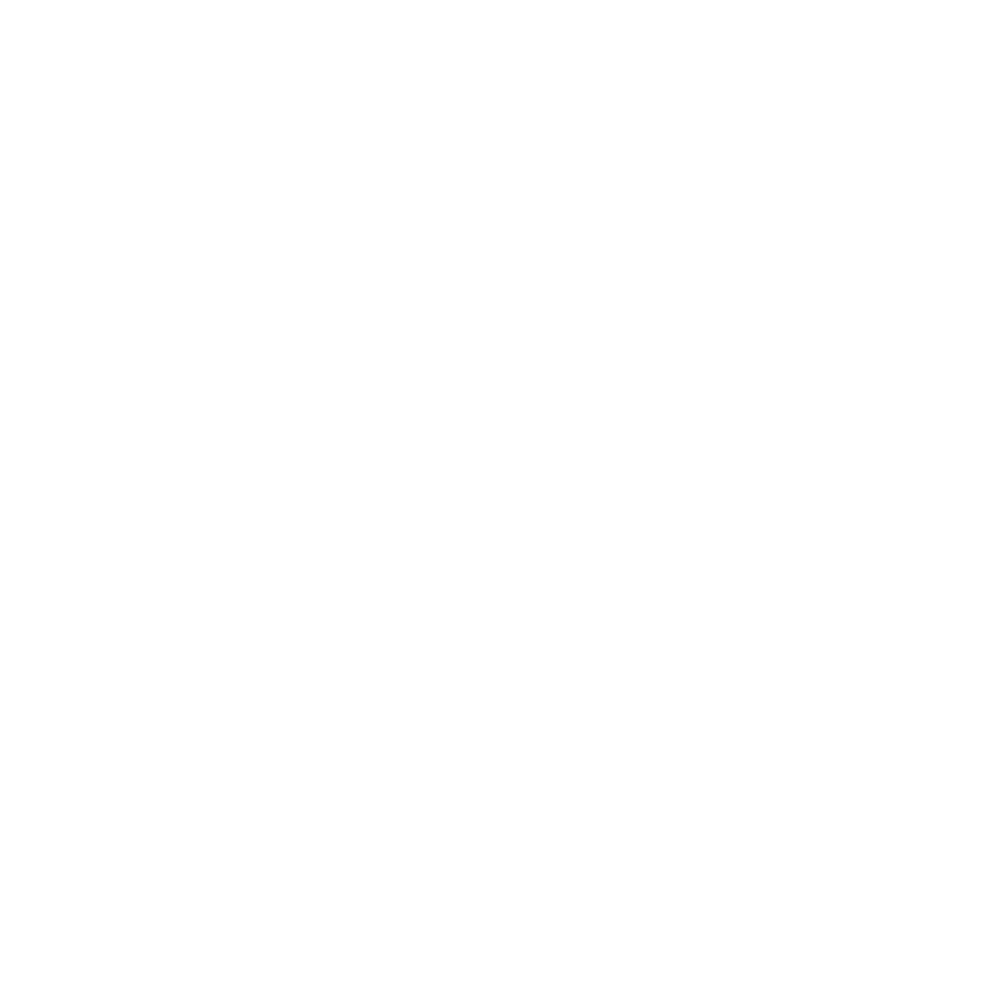 PSN Logo